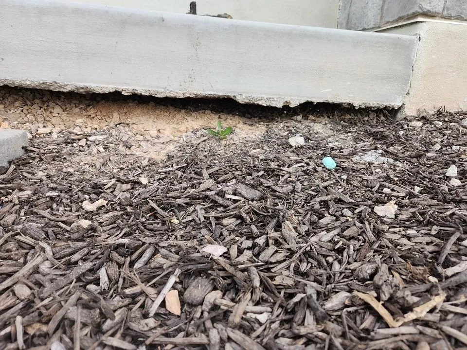 Concrete Lifting in The Park Townhomes, Layton, UT PolyFoam Solutions Concrete Lifting Layton, UT